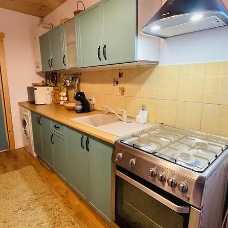 Holiday home Arpas Spirit Arpasu de Jos