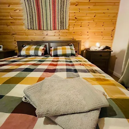 Holiday home Arpas Spirit Arpasu de Jos